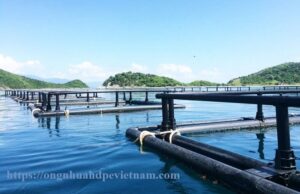 Ống Nhựa HDPE Tại Huyện Cô Tô