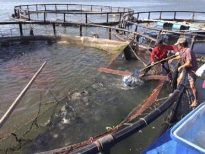 Ống Nhựa HDPE Tại Thành phố Cẩm Phả