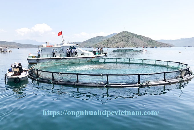 Ứng dụng ống nhựa HDPE trong nuôi trồng thủy hải sản